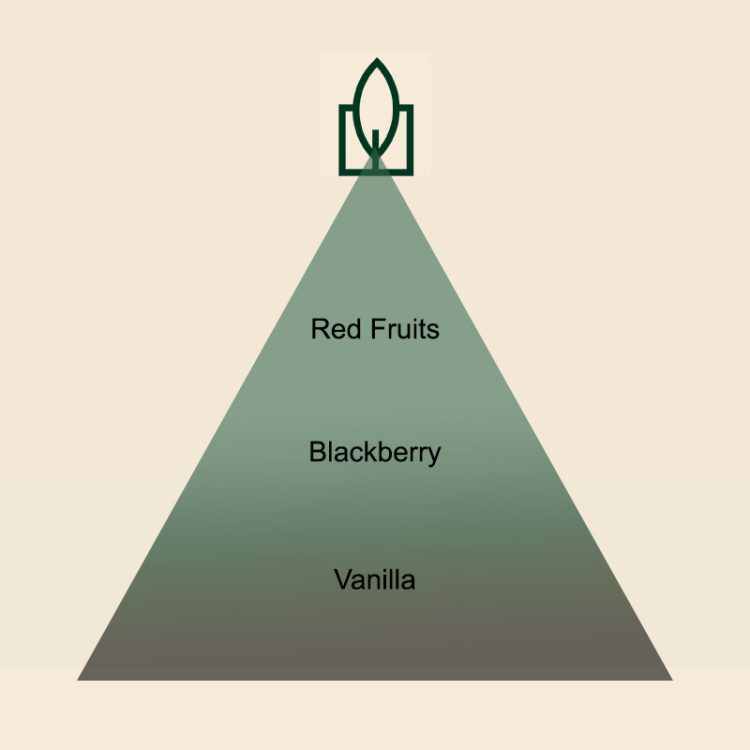 Black Berry Sorbet dišava za sveče - slika 2