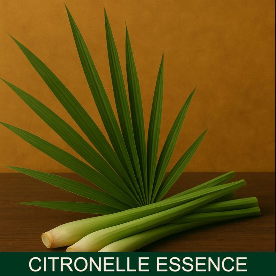 citronelle sessence dišave za sveče