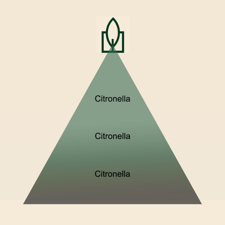 Citronelle Essence dišava za sveče - slika 2