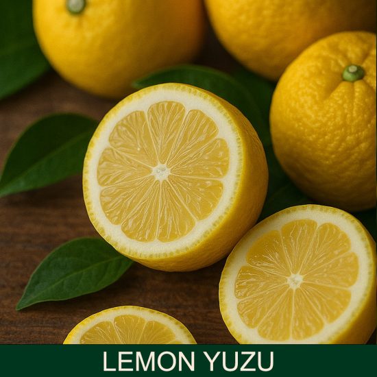 lemon yuzu dišave za sveče