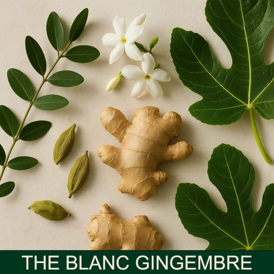 the blanc gingembre dišave za sveče
