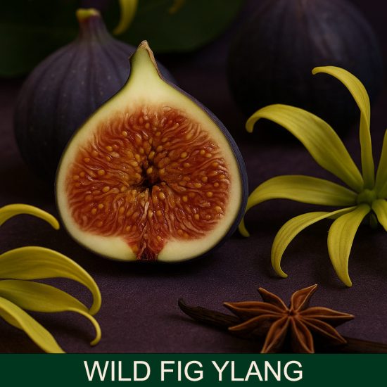 wild fig ylang dišave za sveče
