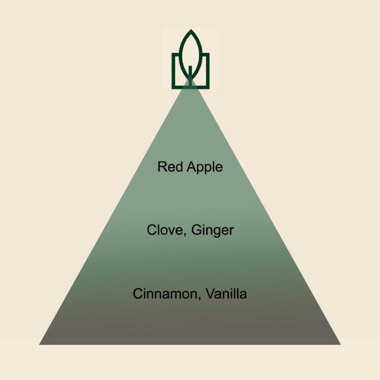 Spiced Winter Apple dišava za sveče - slika 3