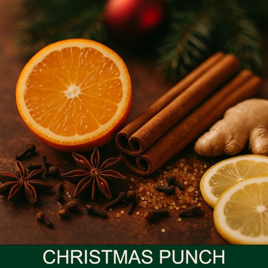 Christmas Punch dišava za sveče