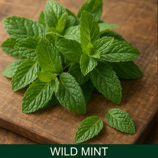 Wild Mint dišava za sveče