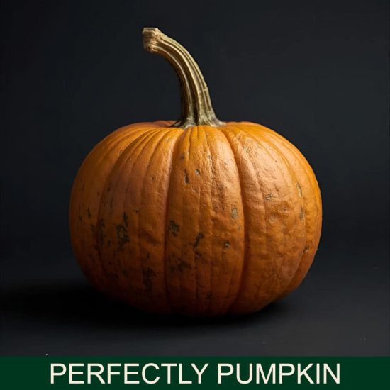 Perfectly pumpkin dišava za sveče
